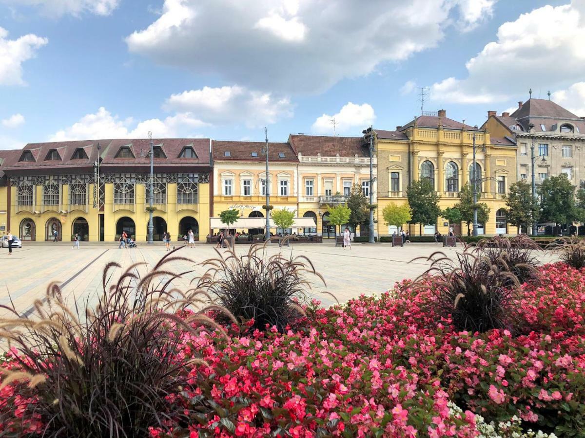 M37 Apartman Debrecen Dış mekan fotoğraf